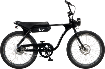 Model 1 E-Bike