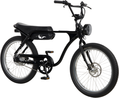 Model 1 E-Bike